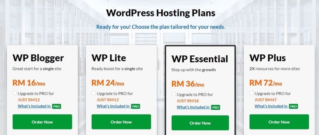 wordpress professional business website hosting